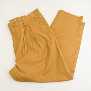 The Rail Cropped Fit Brown Pleated Pants